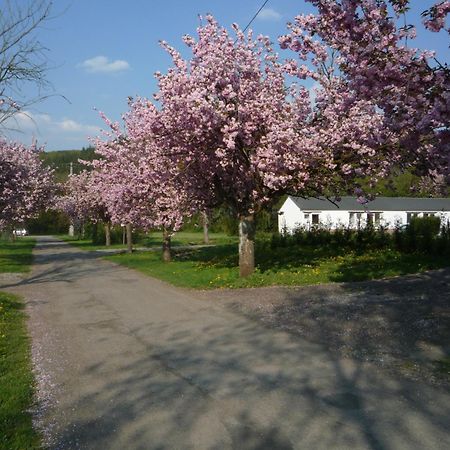 Motel Le Brissoneau Rendeux Zewnętrze zdjęcie