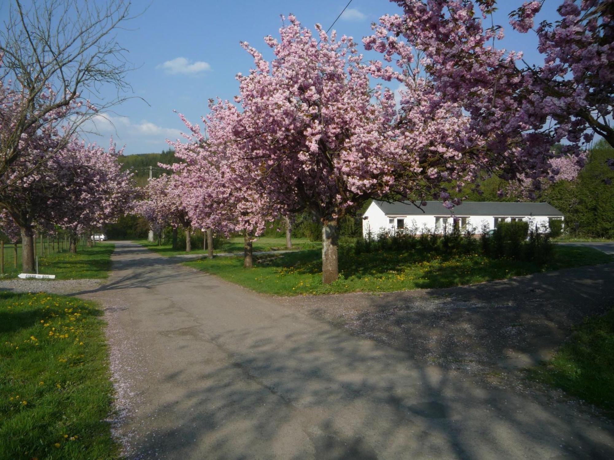 Motel Le Brissoneau Rendeux Zewnętrze zdjęcie